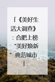 《美好生活大调查》：合肥上榜“美好焕新”典范城市