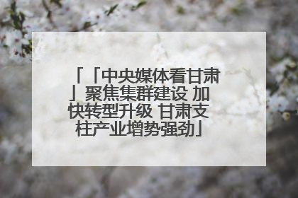 「中央媒体看甘肃」聚焦集群建设 加快转型升级 甘肃支柱产业增势强劲