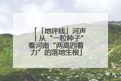 「地评线」河声丨从“一粒种子”看河南“两高四着力”的落地生根