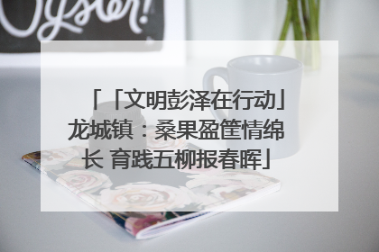 「文明彭泽在行动」龙城镇：桑果盈筐情绵长 育践五柳报春晖