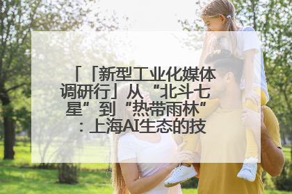 「新型工业化媒体调研行」从“北斗七星”到“热带雨林”：上海AI生态的技术商业共生密码