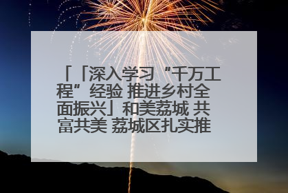 「深入学习“千万工程”经验 推进乡村全面振兴」和美荔城 共富共美 荔城区扎实推进乡村振兴工作