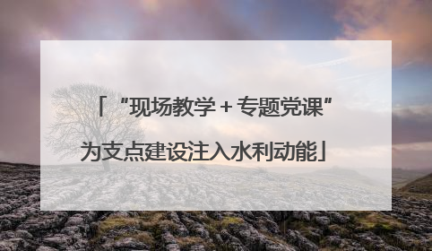 “现场教学＋专题党课”为支点建设注入水利动能