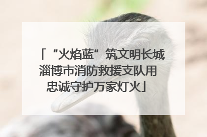 “火焰蓝”筑文明长城 淄博市消防救援支队用忠诚守护万家灯火
