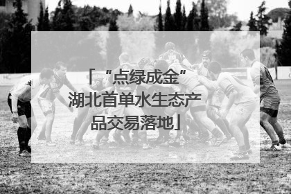 “点绿成金” 湖北首单水生态产品交易落地