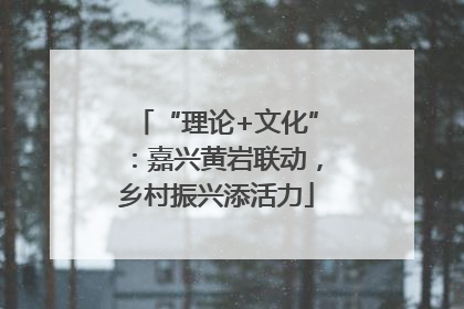 “理论+文化”：嘉兴黄岩联动，乡村振兴添活力