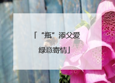 “瓶”添父爱 绿意寄情