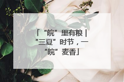 “皖”里有粮｜“三夏”时节，一“皖”麦香