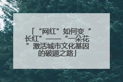 “网红”如何变“长红”——“一朵花”激活城市文化基因的破题之路