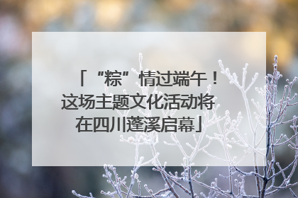 “粽”情过端午！这场主题文化活动将在四川蓬溪启幕