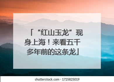 “红山玉龙”现身上海！来看五千多年前的这条龙