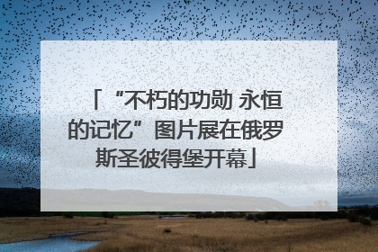 “不朽的功勋 永恒的记忆”图片展在俄罗斯圣彼得堡开幕