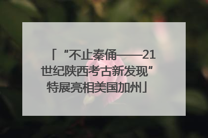 “不止秦俑——21世纪陕西考古新发现”特展亮相美国加州
