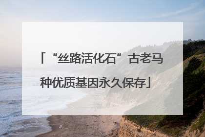 “丝路活化石”古老马种优质基因永久保存