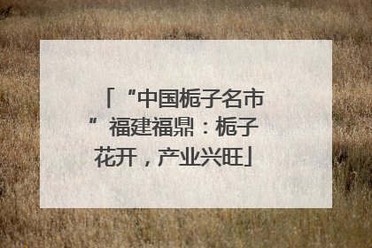 “中国栀子名市”福建福鼎：栀子花开，产业兴旺
