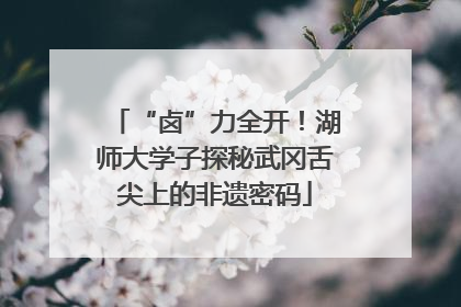 “卤”力全开！湖师大学子探秘武冈舌尖上的非遗密码
