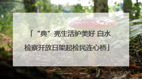“典”亮生活护美好 白水检察开放日架起检民连心桥