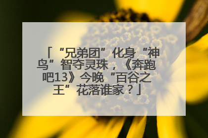 “兄弟团”化身“神鸟”智夺灵珠，《奔跑吧13》今晚“百谷之王”花落谁家？