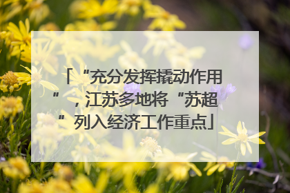 “充分发挥撬动作用”，江苏多地将“苏超”列入经济工作重点