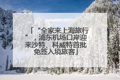 “全家来上海旅行”，浦东机场口岸迎来沙特、科威特首批免签入境旅客