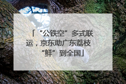 “公铁空”多式联运，京东助广东荔枝“鲜”到全国