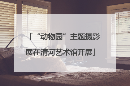 “动物园”主题摄影展在清河艺术馆开展