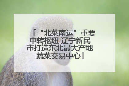 “北菜南运”重要中转枢纽 辽宁新民市打造东北最大产地蔬菜交易中心