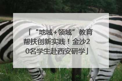 “地域+领域”教育帮扶创新实践！金沙20名学生赴西安研学