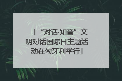 “对话·知音”文明对话国际日主题活动在匈牙利举行