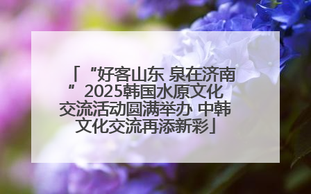 “好客山东 泉在济南”2025韩国水原文化交流活动圆满举办 中韩文化交流再添新彩