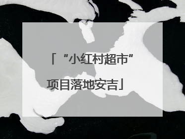 “小红村超市”项目落地安吉