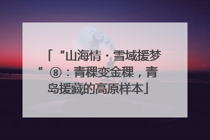 “山海情・雪域援梦”⑧：青稞变金稞，青岛援藏的高原样本