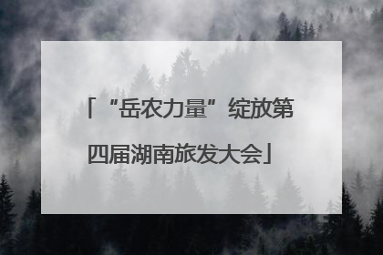 “岳农力量”绽放第四届湖南旅发大会