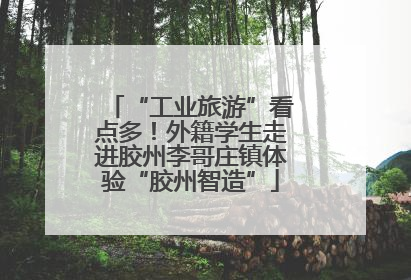 “工业旅游”看点多！外籍学生走进胶州李哥庄镇体验“胶州智造”