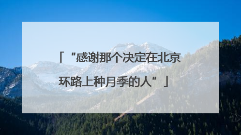 “感谢那个决定在北京环路上种月季的人”