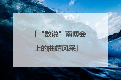 “数说”南博会上的曲靖风采