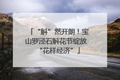 “斛”然开朗！宝山罗泾石斛花节绽放“花样经济”