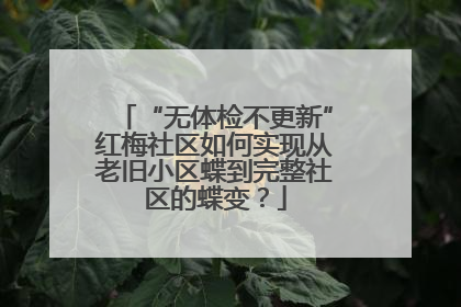“无体检不更新”红梅社区如何实现从老旧小区蝶到完整社区的蝶变？