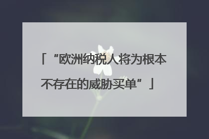 “欧洲纳税人将为根本不存在的威胁买单”