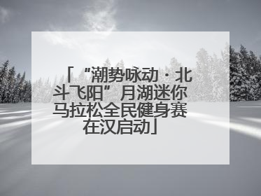 “潮势咏动・北斗飞阳”月湖迷你马拉松全民健身赛在汉启动