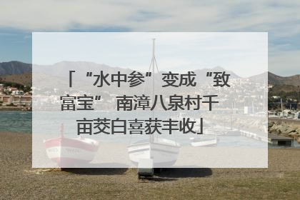 “水中参”变成“致富宝” 南漳八泉村千亩茭白喜获丰收