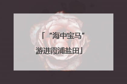 “海中宝马”游进霞浦盐田