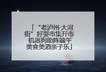 “老泸州·大河街”好耍市集开市 机器狗助阵端午美食美酒亲子乐