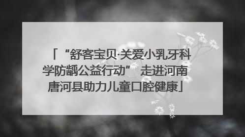 “舒客宝贝·关爱小乳牙科学防龋公益行动” 走进河南唐河县助力儿童口腔健康