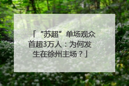 “苏超”单场观众首超3万人：为何发生在徐州主场？
