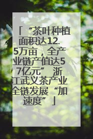 “茶叶种植面积达12.5万亩，全产业链产值达57亿元” 浙江武义茶产业全链发展“加速度”