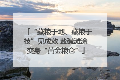 “藏粮于地、藏粮于技”见成效 盐碱滩涂变身“黄金粮仓”