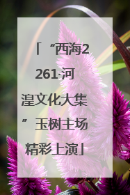 “西海2261·河湟文化大集”玉树主场精彩上演