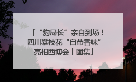 “豹局长”亲自到场！四川攀枝花“自带香味”亮相西博会丨图集