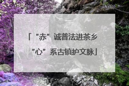 “赤”诚普法进茶乡 “心”系古镇护文脉